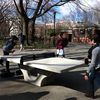 Please, No One Destroy The Tompkins Square Park Ping-Pong Table!